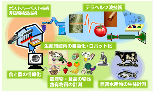 �_�Y���H�w�������̎�Ȍ����Ώ�